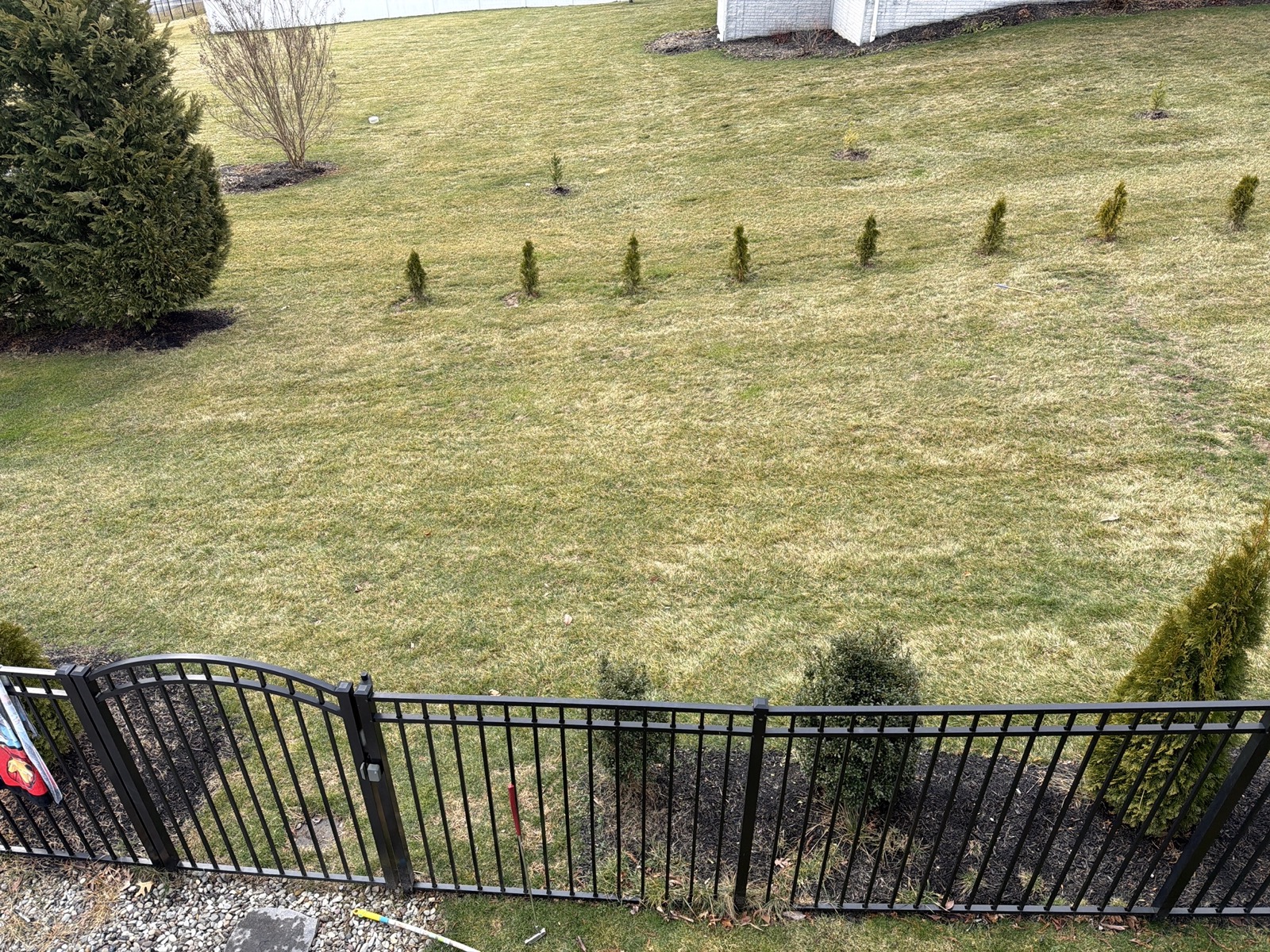 Backyard before shed installation